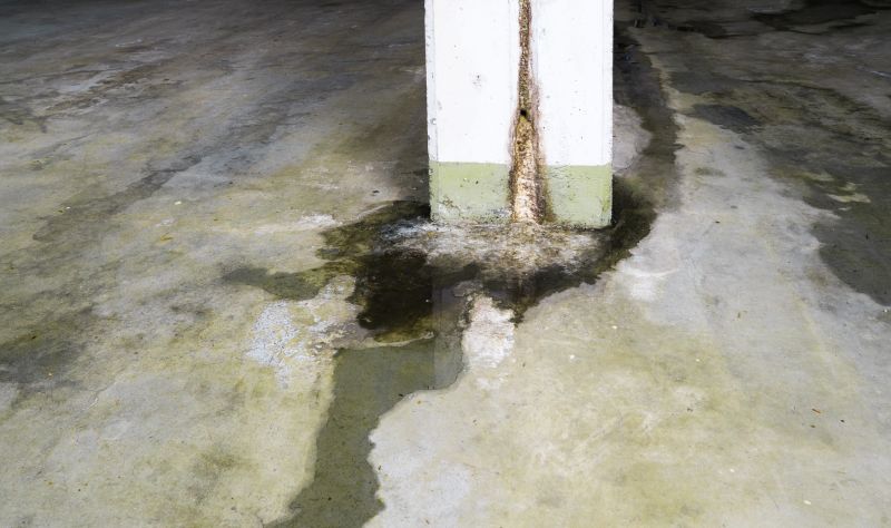 Leaking Foundation Repair in Apollo Beach, FL